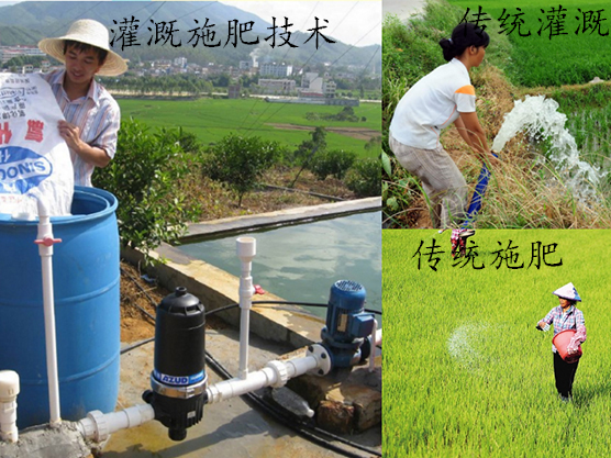 自動化滴灌施肥系統(tǒng)的組成及功能
