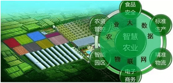 帶你走進智慧農業