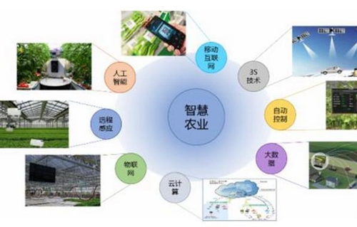 智慧農業
3S技術
自動控制
大數據
云計算
物聯網
遠程感應
人工智能